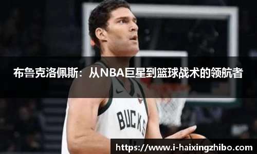 海星体育官网