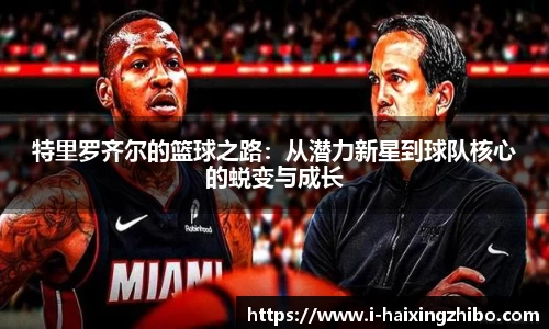 海星体育官网